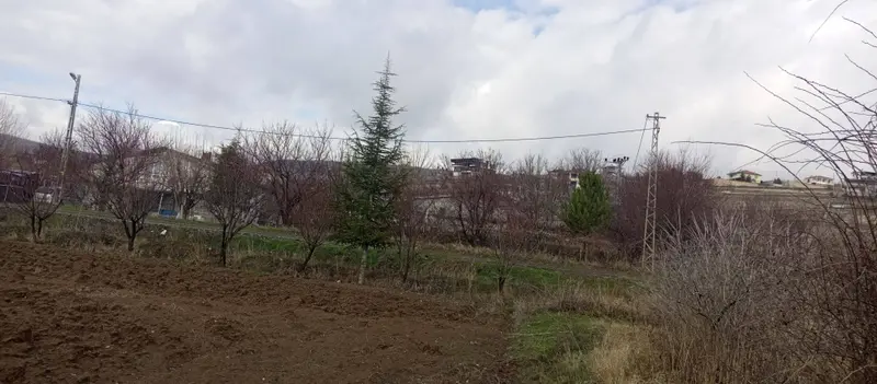 İlan Görseli https://cdn.ilanlar.com/images/l1/l2/{width}/{height}/30009437_1775153476487106763.jpg