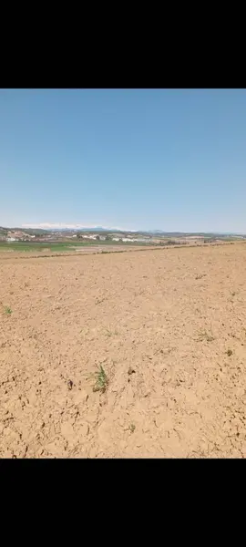İlan Görseli 3