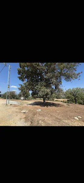 İlan Görseli 3