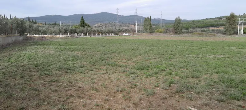 İMARA BİTİŞİK TARLA