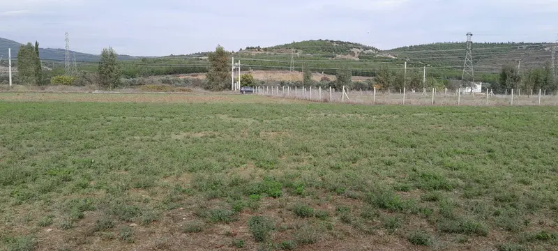 İlan Görseli 2