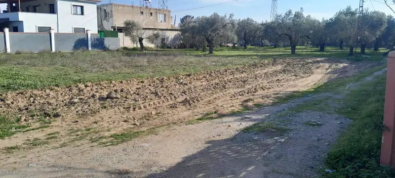 İlan Görseli 3