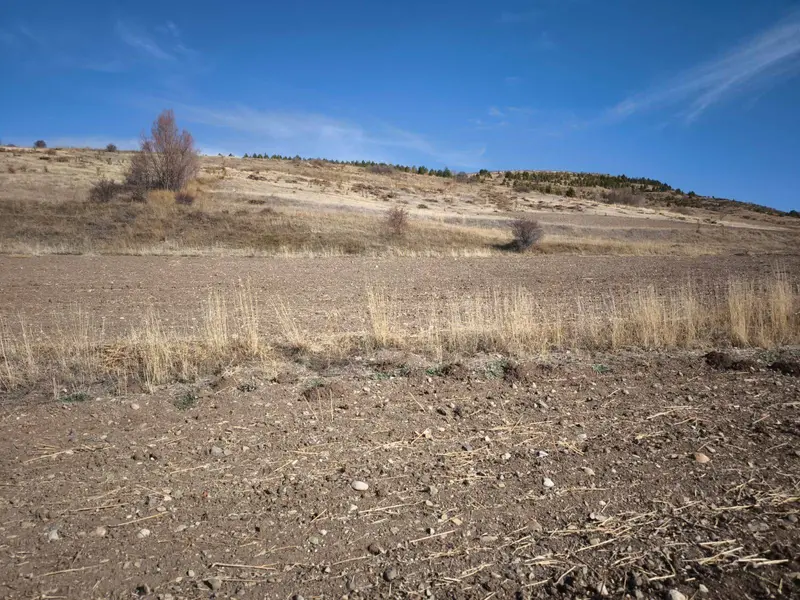 İlan Görseli 2
