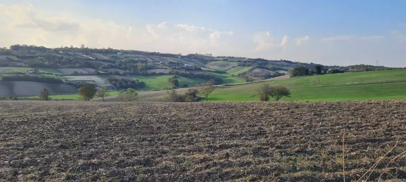 İlan Görseli 3