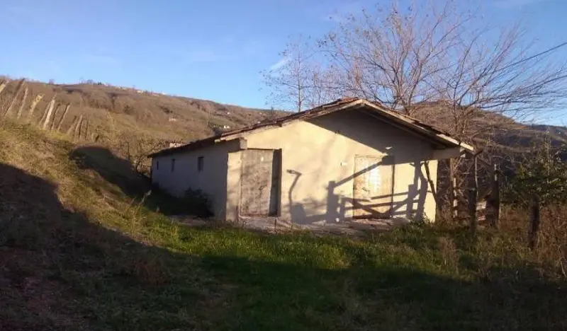İlan Görseli 2