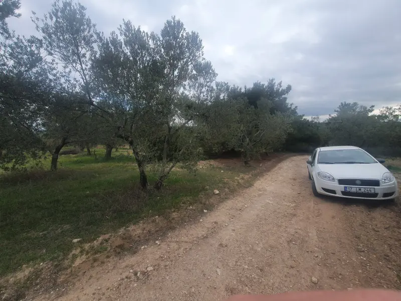 İlan Görseli 3
