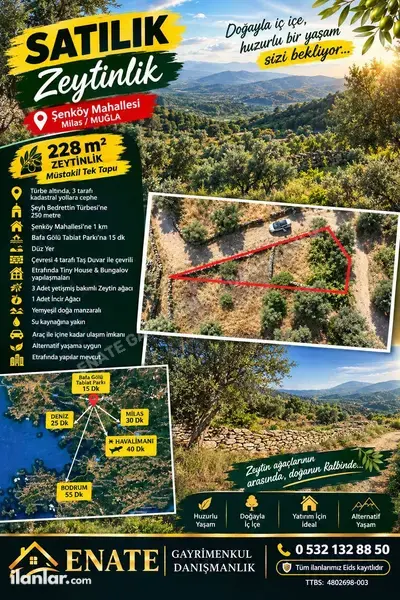 Muğla Milas Şenköy Mahallesi 228 m² satılık zeytinlik arsa - Fotoğraf 1