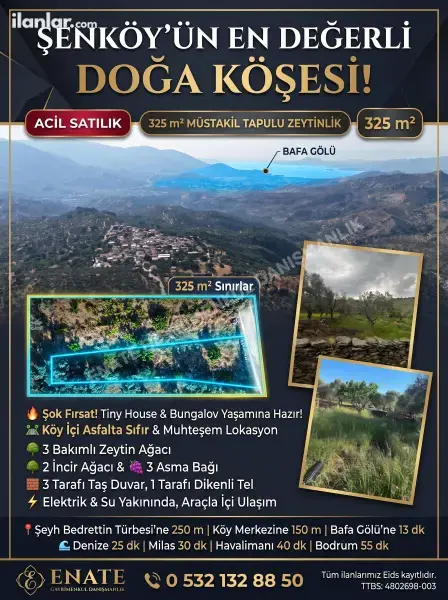 Muğla Milas Şenköy Mahallesi 326 m² satılık zeytinlik arsa - Fotoğraf 1