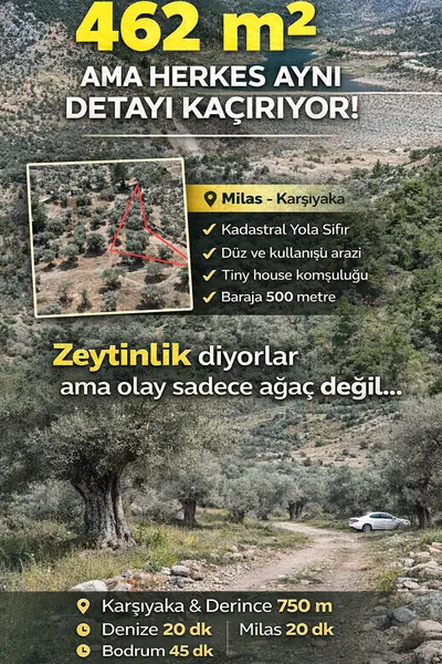 Milas Karşıyaka 462 m² Satılık Zeytinlik Baraj Yanı
