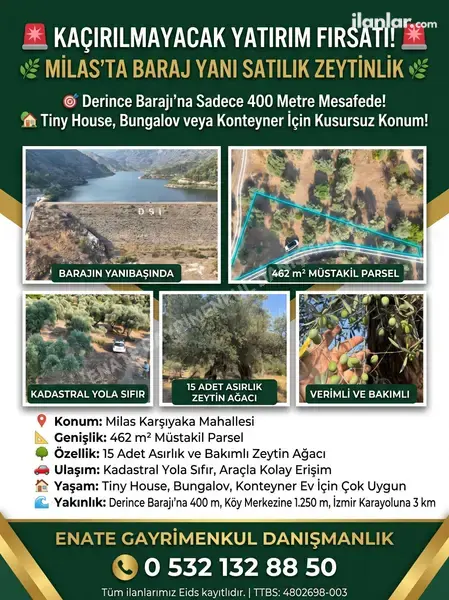 Muğla Milas Karşıyaka Mahallesi 462 m² satılık zeytinlik arsa - Fotoğraf 1