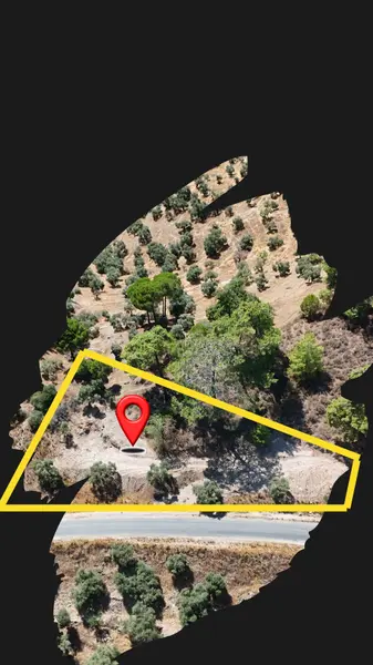 İzmir Yoluna yakın Milas Göldere de 1343 m2 Asfalta sıfır muhteşem lokasyon