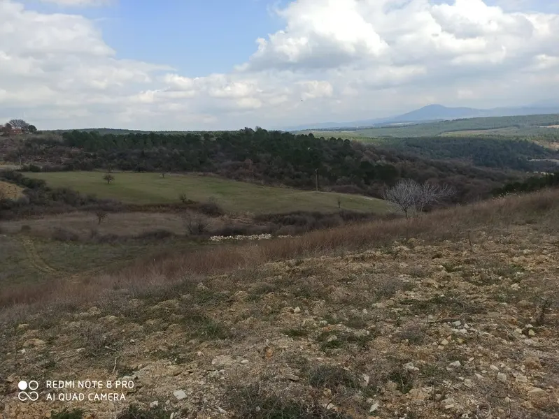 İlan Görseli 2