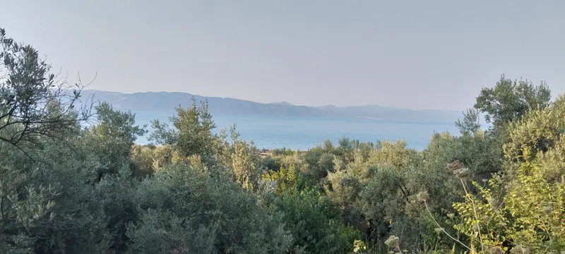 advert_260419_173620_3678.jpg