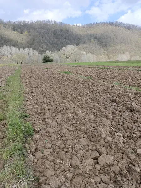 İlan Görseli 2