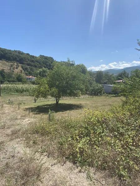 İlan Görseli 2