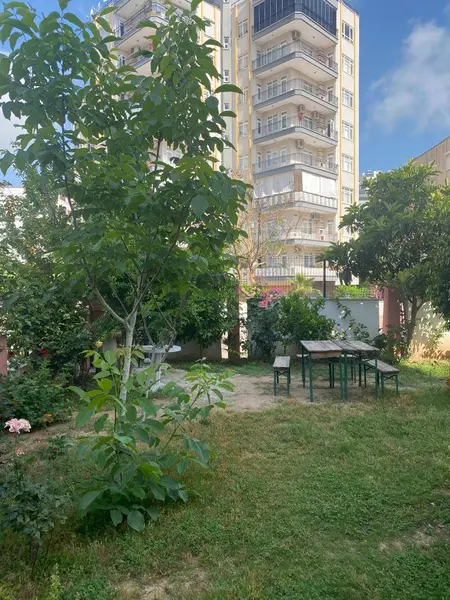 İlan Görseli 2