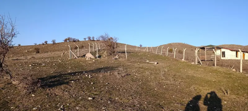 advert_260427_224528_4642.jpg