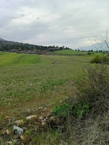 https://cdn.ilanlar.com/images/l1/l2/{width}/{height}/30010423_1777361167101218254.jpg
