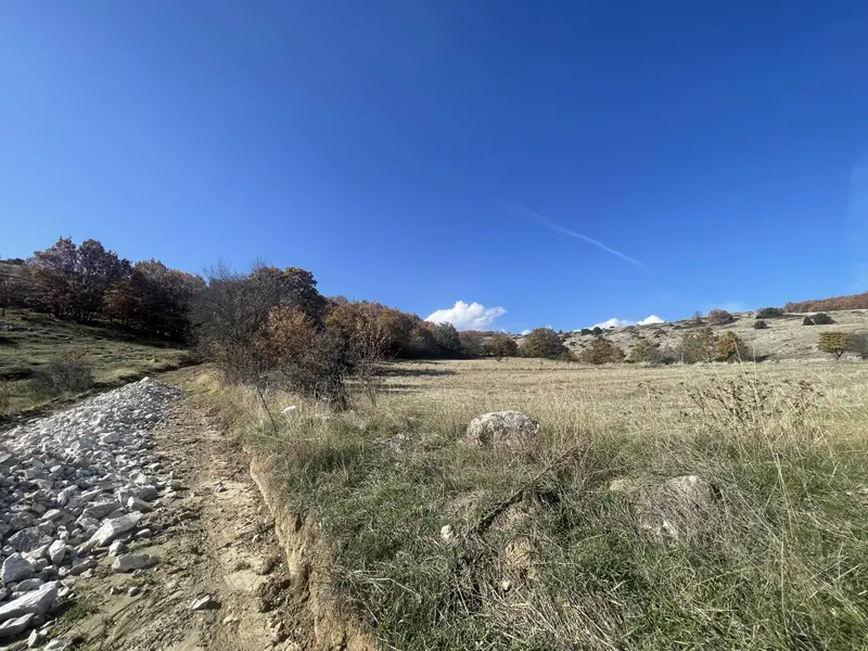 BOZÜYÜK DODURGA DA TARLA