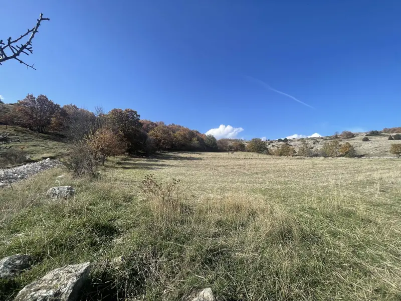 İlan Görseli 2
