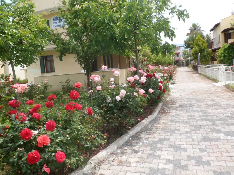 İlan Görseli 2