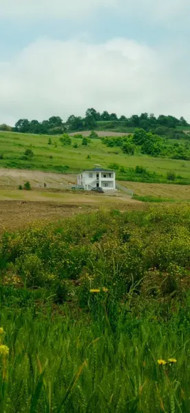 İlan Görseli 3