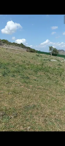 İlan Görseli 2