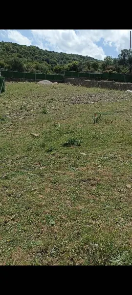 İlan Görseli 3
