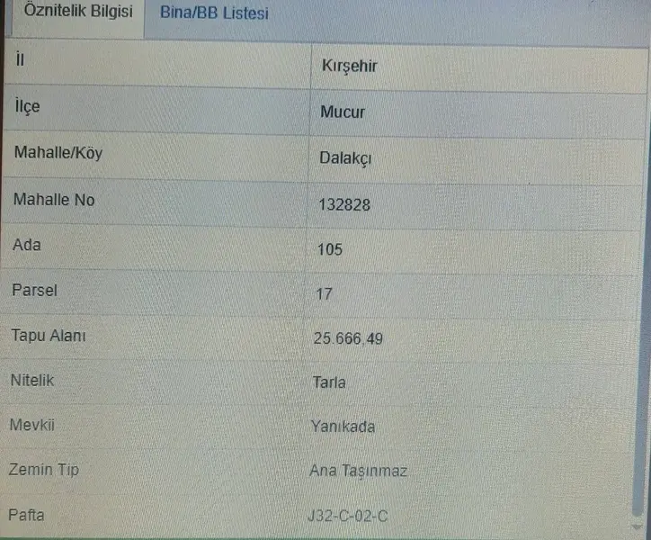 İlan Görseli 3