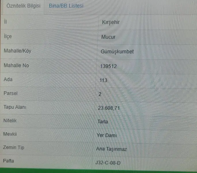 İlan Görseli 3