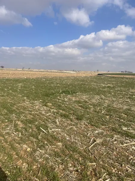 SEBEN KEMER KÖY GİRİŞİNDE MÜTHİŞ ARSA
