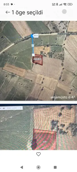 İlan Görseli 2