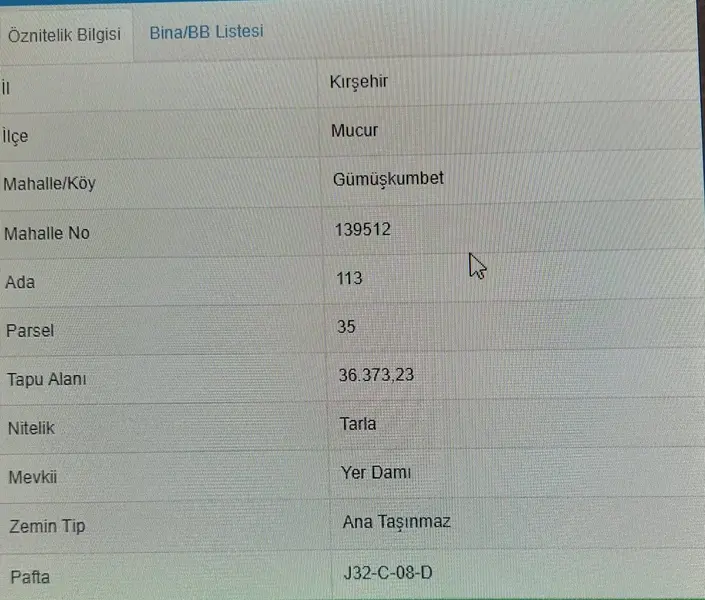 İlan Görseli 3