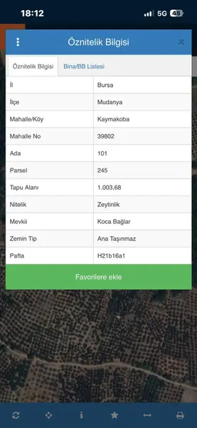 mudanya kaymakobada 1003 m2satılık 30 ağaçlı zeytinlik