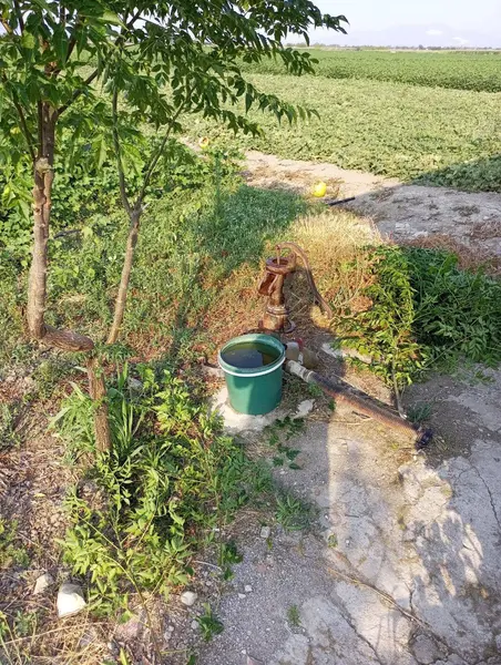 FERİZLER SATILIK TARLA