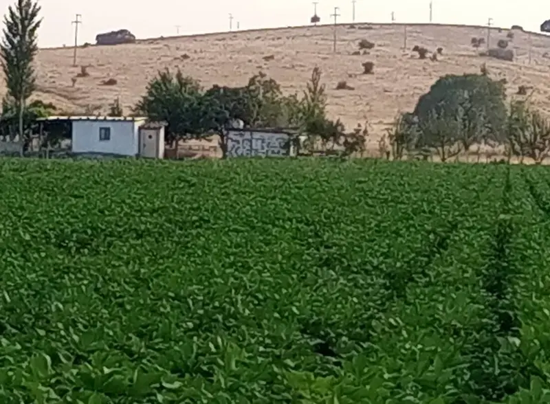 İlan Görseli 3