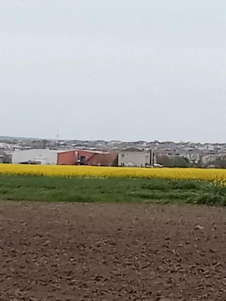 İlan Görseli 2