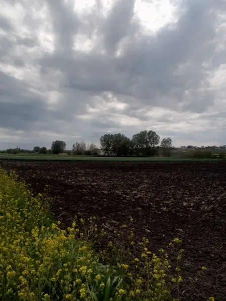 Tekirdağ Saray Yuvalı'da 1871 m² Tarla: Tarım ve Yatırım Fırsatı!
