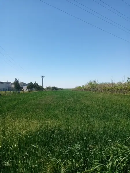 Saray Ayaspaşa'da 6085m² Satılık Tarla -FIRSAT TARLA