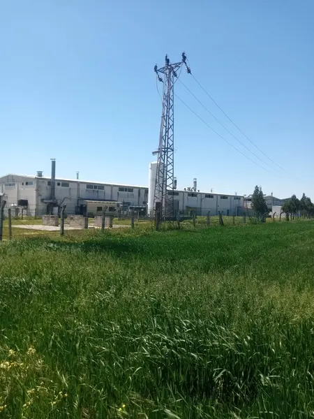 İlan Görseli 2