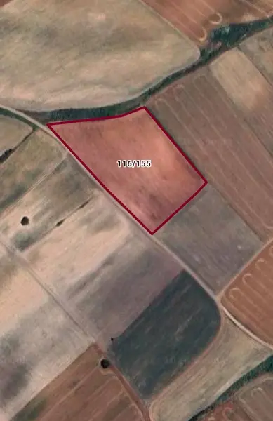 Tekirdağ Saray Yuvalı'da 301m² Hisseli Tarla Yatırım Fırsatı!