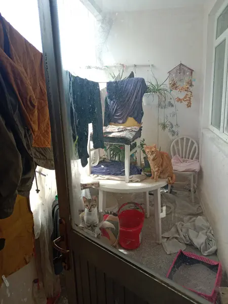 İlan Görseli 2