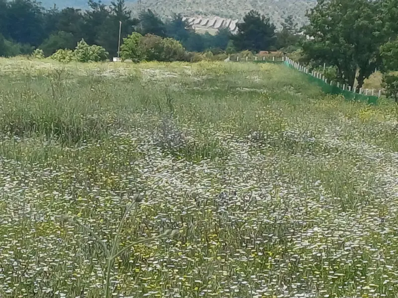 İlan Görseli 2