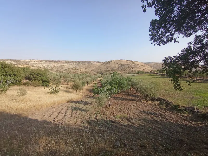İlan Görseli 3