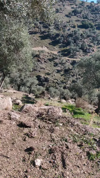 İlan Görseli 3