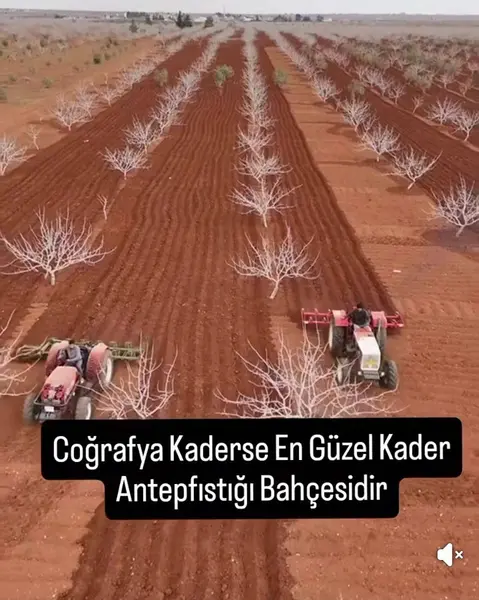 İlan Görseli 2