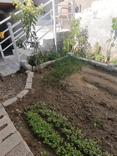 advert_260520_081857_9672.jpg