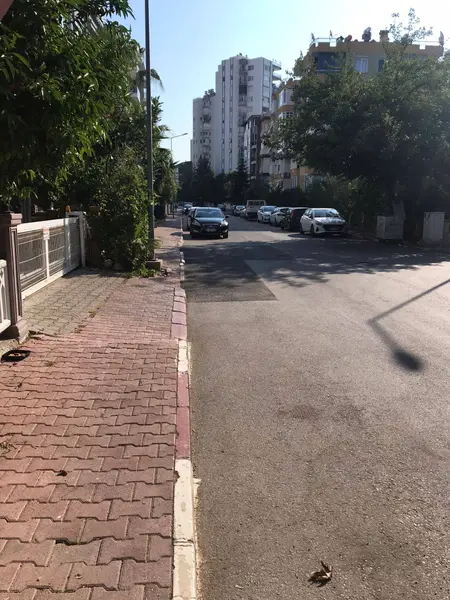 İlan Görseli 2