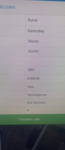 İlan Görseli 2
