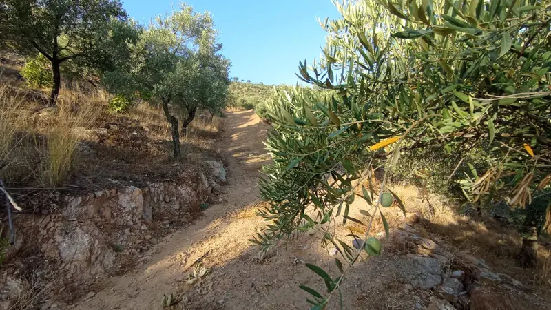 İlan Görseli 2